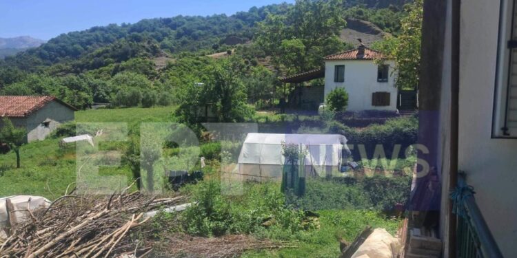 Δολοφονία στην Αμφιλοχία: Ο 67χρονος είχε χτυπήσει τον πατέρα του πριν από μερικές ημέρες