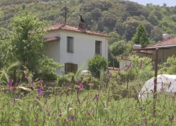 Δύο εντολές για έρευνες από την Εισαγγελία Αιτωλοακαρνανίας – Η απάντηση στα περί καθυστέρησης παρέμβασης στην υπόθεση