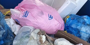 Εύβοια: Πέταξαν ψάρια και φελιζόλ σε κάδους ανακύκλωσης