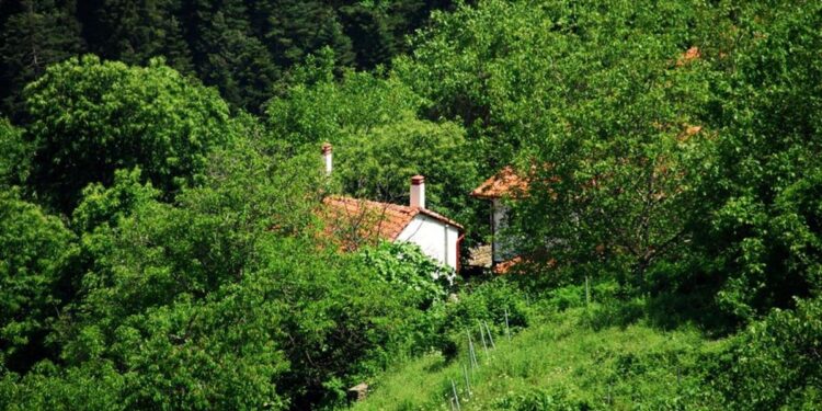 Ταξίδι στον χρόνο στις πλαγιές του βουνού των θεών