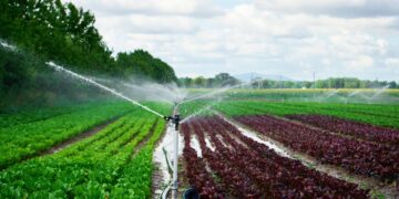 Ο Λιβάνιος είπε μια μεγάλη αλήθεια