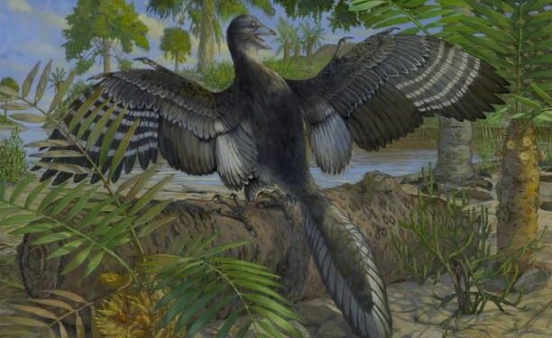 Ανακαλύφθηκε το «εργαλείο» απογείωσης των πρώτων πτηνών της Γης