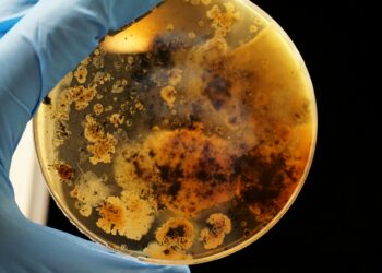 Επιστήμονες ανακάλυψαν «ανθεκτικό» βακτήριο με «μοναδικές ιδιότητες» στον κινεζικό διαστημικό σταθμό