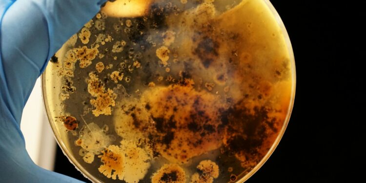 Επιστήμονες ανακάλυψαν «ανθεκτικό» βακτήριο με «μοναδικές ιδιότητες» στον κινεζικό διαστημικό σταθμό