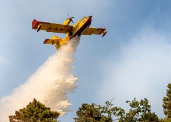 The EU organizes firefighting teams and an aircraft fleet for countries at risk, such as Greece