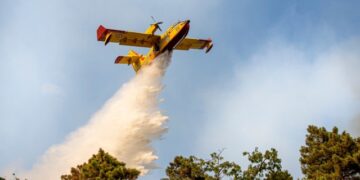 The EU organizes firefighting teams and an aircraft fleet for countries at risk, such as Greece