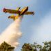 The EU organizes firefighting teams and an aircraft fleet for countries at risk, such as Greece