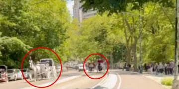 Βίντεο: Χάος στο Σέντραλ Παρκ της Νέας Υόρκης