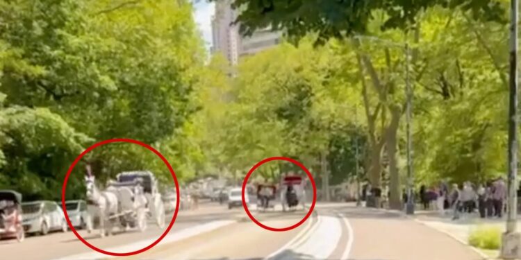 Βίντεο: Χάος στο Σέντραλ Παρκ της Νέας Υόρκης