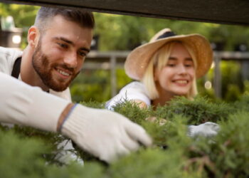 Το Νο1 φυτό που θα διώξει τα παράσιτα, σύμφωνα με κηπουρό – Δεν είναι το σκόρδο