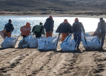 Η δράση που σαρώνει τόνους απορριμμάτων από τη στεριά