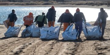 Η δράση που σαρώνει τόνους απορριμμάτων από τη στεριά