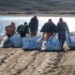 Η δράση που σαρώνει τόνους απορριμμάτων από τη στεριά