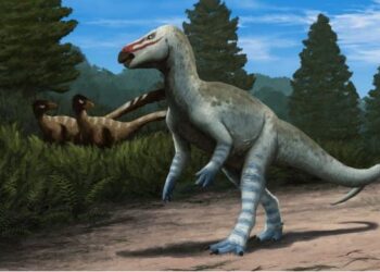 Ανακαλύφθηκε άγνωστος Ευρωπαίος δεινόσαυρος