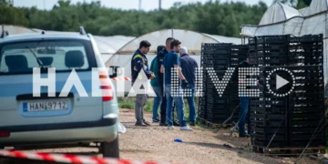 Μετά την μαχαιριά στην καρδιά, συνέχισε να μαζεύει φράουλες