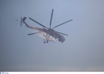 Φωτιά στον Αυλώνα – Σηκώθηκαν δύο εναέρια μέσα