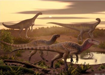 Ανακαλύφθηκε άγνωστο είδος αρχέγονου σαρκοφάγου δεινόσαυρου σε περιοχή «έκπληξη» της Γης