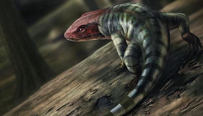 Αυτός είναι ο «πατριάρχης» της ανθρωπότητας, εντοπίστηκε ο αρχαιότερος πρόγονος των θηλαστικών