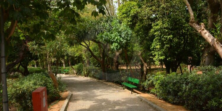 Ρέθυμνο: Κλειστός ο Δημοτικός Κήπος λόγω ισχυρών ανέμων