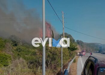 Φωτιά στην Εύβοια – Οι πρώτες εικόνες