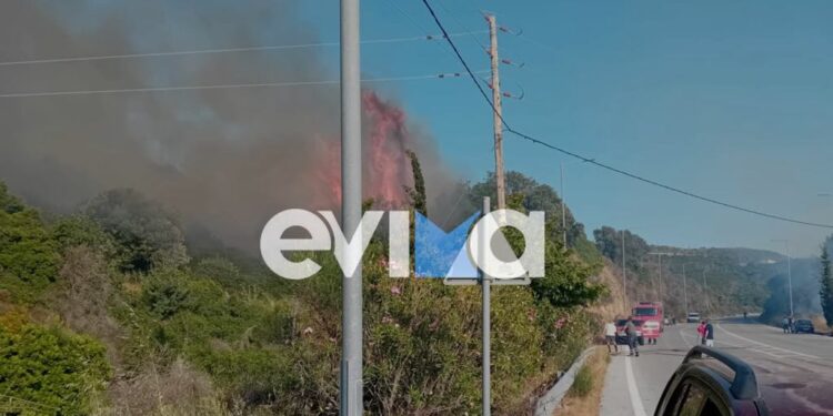 Φωτιά στην Εύβοια – Οι πρώτες εικόνες