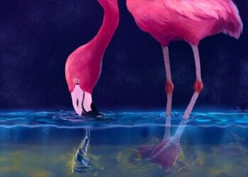 Τα φλαμίνγκο φτιάχνουν ανεμοστρόβιλους και δίνες στο νερό για να πιάσουν θηράματα