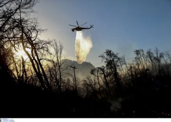 Φωτιά στα Μέθανα – Επιχειρούν 5 εναέρια μέσα