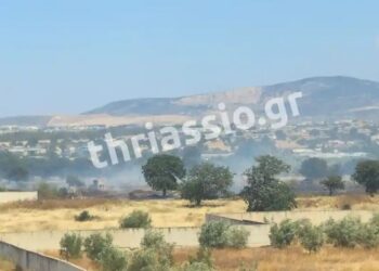 Χωρίς ενεργό μέτωπο η φωτιά στον Ασπρόπυργο