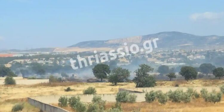 Χωρίς ενεργό μέτωπο η φωτιά στον Ασπρόπυργο