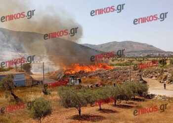 Μία σύλληψη και πρόστιμο για την φωτιά στο Μαρκόπουλο