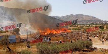 Μία σύλληψη και πρόστιμο για την φωτιά στο Μαρκόπουλο