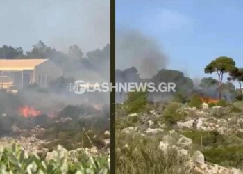 Φωτιά σε χορτολιβαδική έκταση στα Χανιά