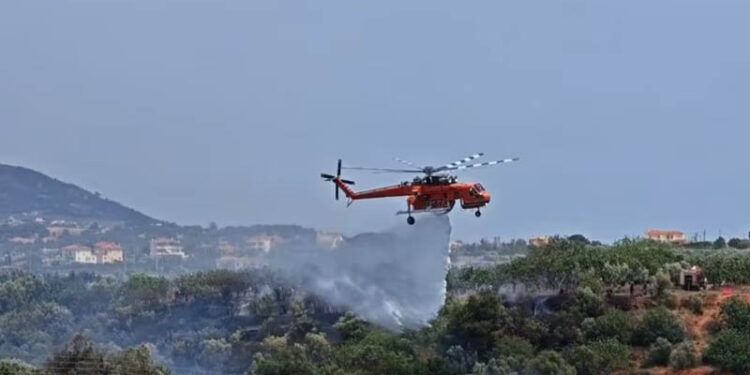 Φωτιά στο Μαρκόπουλο: Καλύτερη η εικόνα, μάχη με διάσπαρτες εστίες