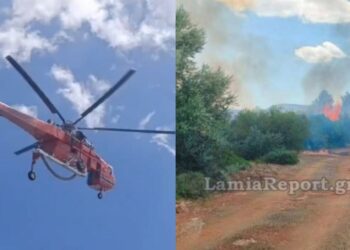 Ριτσώνα: Η φωτιά εξαπλώθηκε λόγω των ανέμων – Ενισχύθηκαν οι δυνάμεις της Πυροσβεστικής