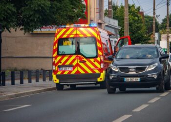 Γαλλία: Κεραυνός έπληξε ζωολογικό κήπο