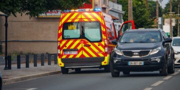 Γαλλία: Κεραυνός έπληξε ζωολογικό κήπο