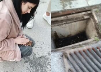 Θεσσαλονίκη: 21χρονη νοσηλεύτρια επανέφερε στη ζωή γατάκι που είχε πέσει σε φρεάτιο