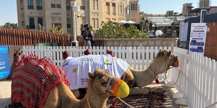 Ηνωμένα Αραβικά Εμιράτα: Ρεκόρ ζέστης τον Απρίλιο