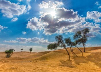 Ρεκόρ θερμοκρασίας τον Μάιο με 50,4 βαθμούς Κελσίου