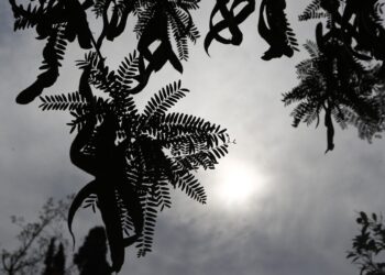 Χωρισμένη στα 2 θερμοκρασιακά η χώρα την Κυριακή – Πού θα βρέξει τη Δευτέρα