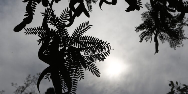 Χωρισμένη στα 2 θερμοκρασιακά η χώρα την Κυριακή – Πού θα βρέξει τη Δευτέρα