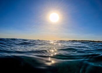 Οι ωκεανοί… σκοτεινιάζουν και απειλούνται τα θαλάσσια οικοσυστήματα αλλά και οι άνθρωποι