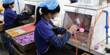 Η Κίνα κέρδισε τον πόλεμο των δασμών, αλλά τα «αγκάθια» παραμένουν