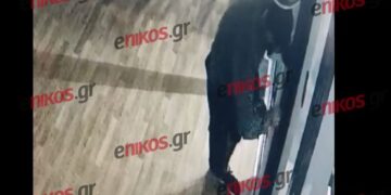 Βίντεο από τη δράση του 24χρονου που συνελήφθη για κλοπές σε Νέα Ιωνία και Νέα Φιλαδέλφεια – Μεταξύ αυτών και η αρπαγή παπαγάλου