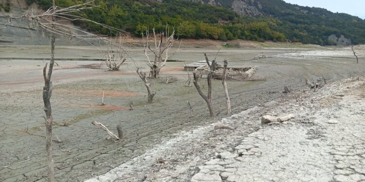 Μεγάλη πιθανότητα η παγκόσμια θερμοκρασία να σπάσει ρεκόρ στα επόμενα πέντε χρόνια
