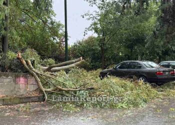 Λαμία: Μπουρίνι έριξε δέντρα, πλημμύρισε σπίτια και δρόμους