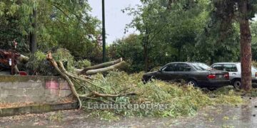 Λαμία: Μπουρίνι έριξε δέντρα, πλημμύρισε σπίτια και δρόμους
