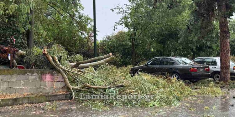 Λαμία: Μπουρίνι έριξε δέντρα, πλημμύρισε σπίτια και δρόμους
