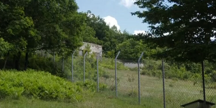 Πυροβολισμοί σε πράκτορες της ΕΥΠ: Δίωξη για απόπειρα ανθρωποκτονίας στον Τούρκο μαφιόζο