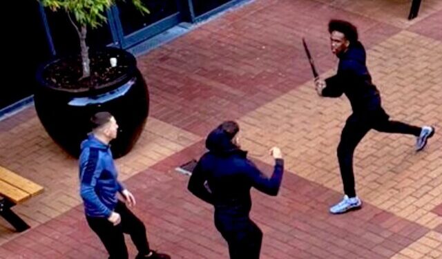 Australian state bans large knives after gang fight